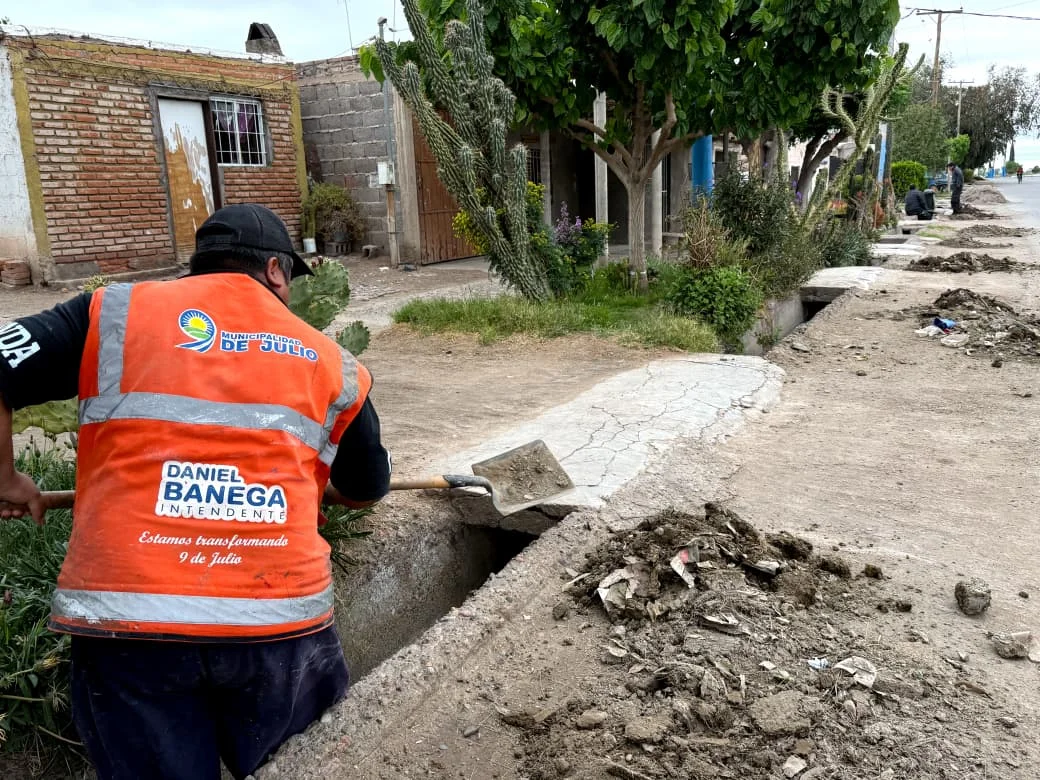 Imagen de la noticia