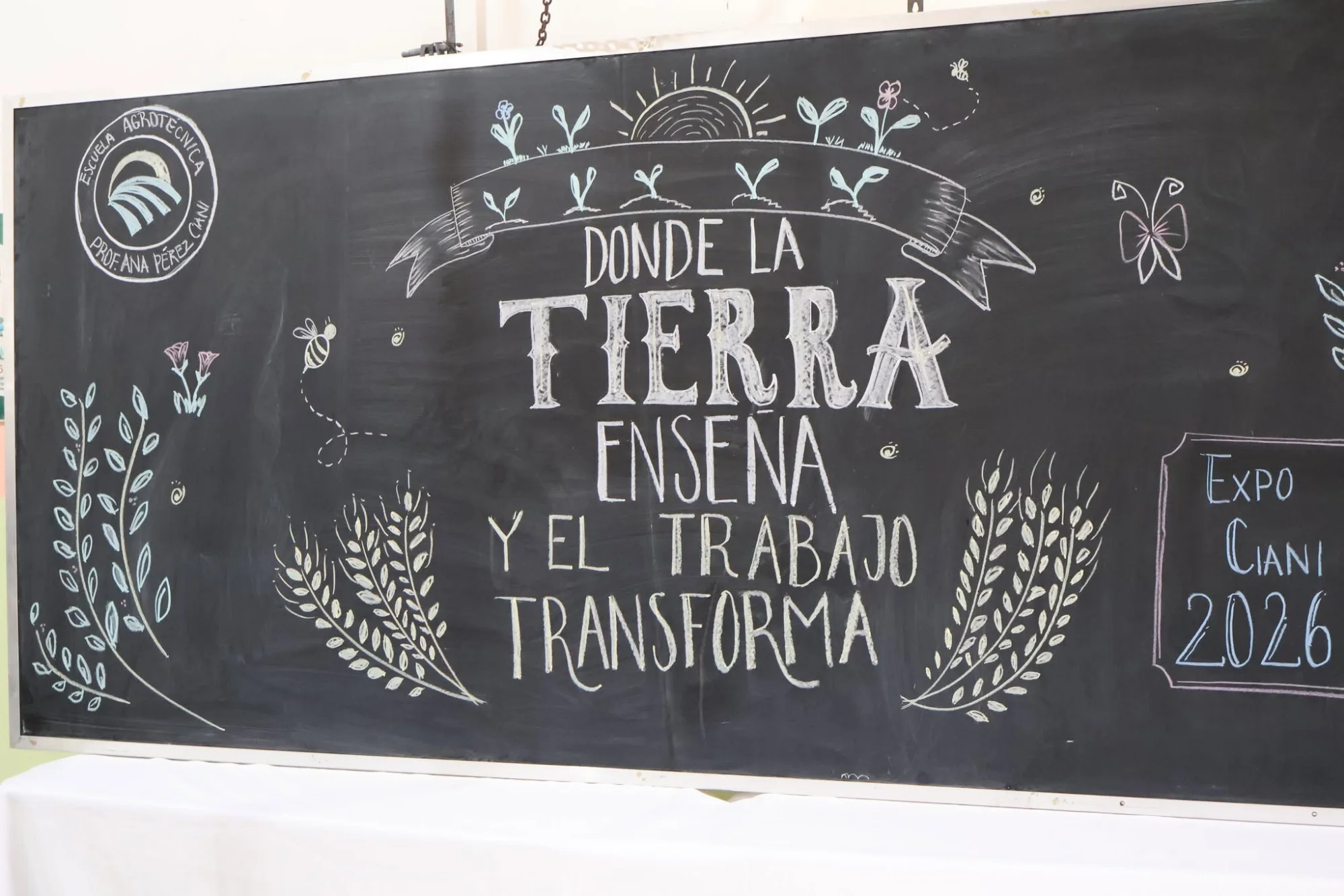 Imagen de la noticia